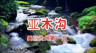 牛血清白蛋白(BSA)说明书-[爱必信absin]